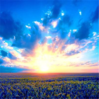 一分极速赛车平台