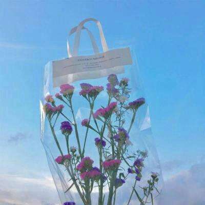 半岛网页版入口官网